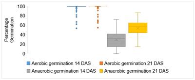 Screening of potential donors for anaerobic stress tolerance during germination in rice